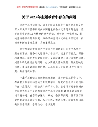 关于2023年主题教育中存在的问题(2)