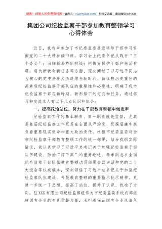 集团公司纪检监察干部参加教育整顿学习心得体会
