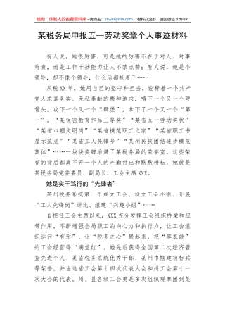 某税务局申报五一劳动奖章个人事迹材料