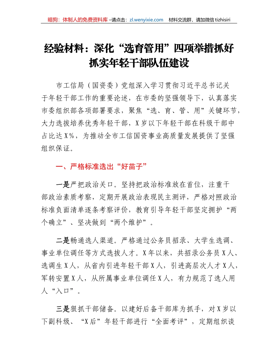 经验材料：深化选育管用四项举措抓好抓实年轻干部队伍建设_第1页
