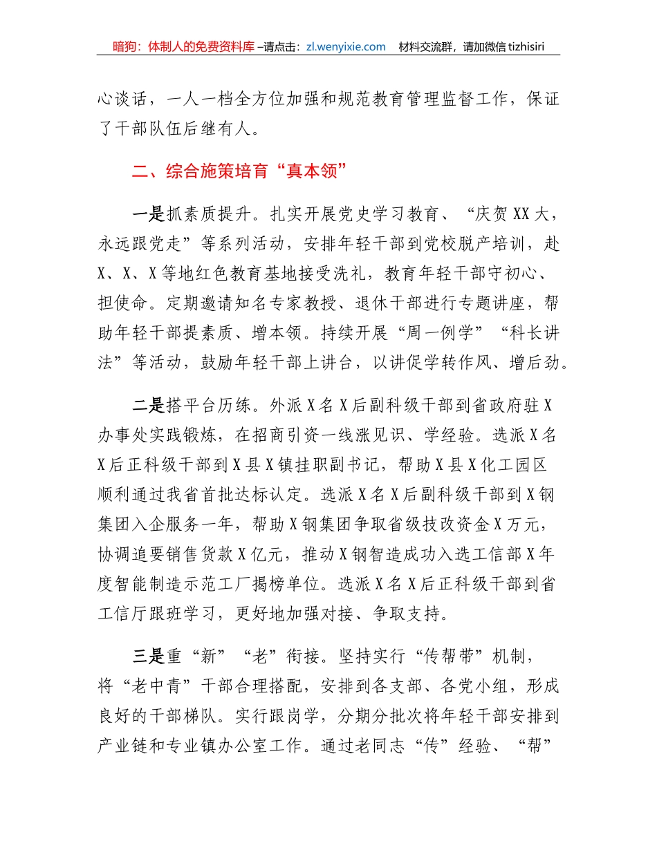 经验材料：深化选育管用四项举措抓好抓实年轻干部队伍建设_第2页