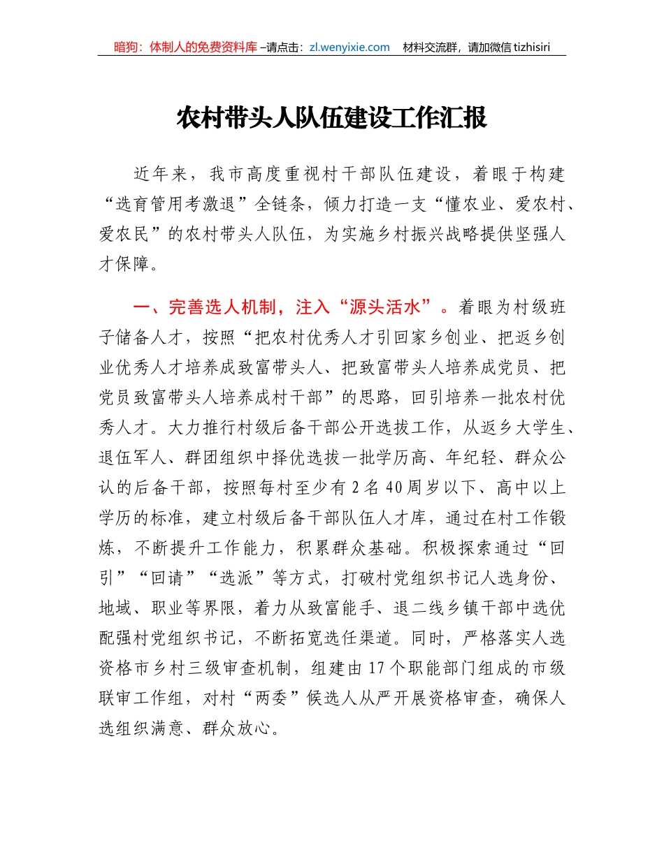 农村带头人队伍建设工作汇报_第1页