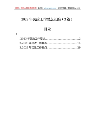 2023年民政工作要点汇编（3篇）