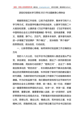 派驻纪检组长学习贯彻2023年主题教育心得体会