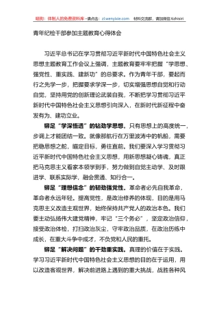 青年纪检干部参加主题教育心得体会