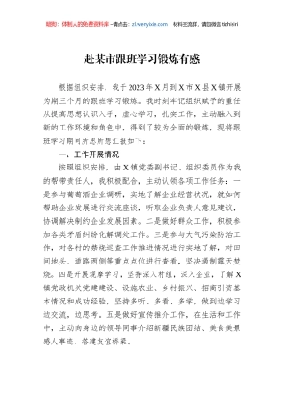 赴某市跟班学习锻炼有感