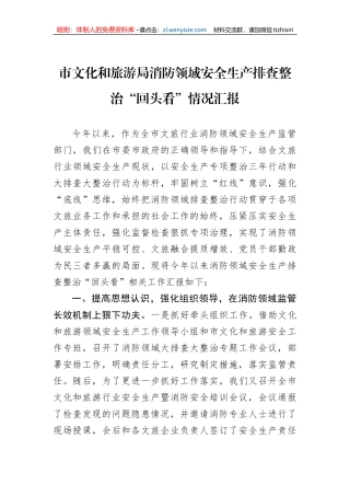 市文化和旅游局消防领域安全生产排查整治“回头看”情况汇报