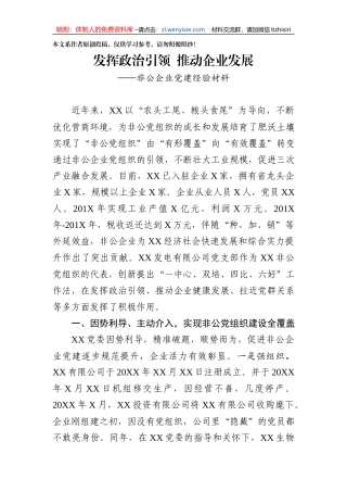 发挥政治引领推动企业发展--非公党建经验材料