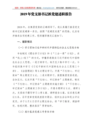 2019年党支部书记抓党建述职报告