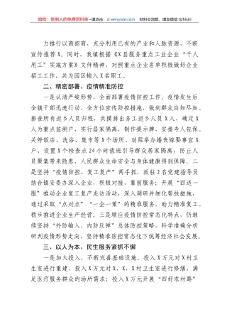 2020年度乡镇人大工作总结