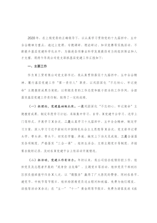 公司党支部书记抓基层党建工作述职报告