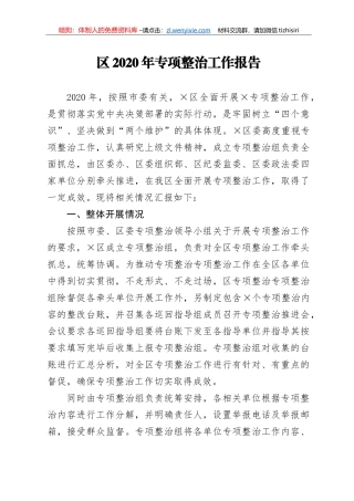 区2020年专项整治工作报告