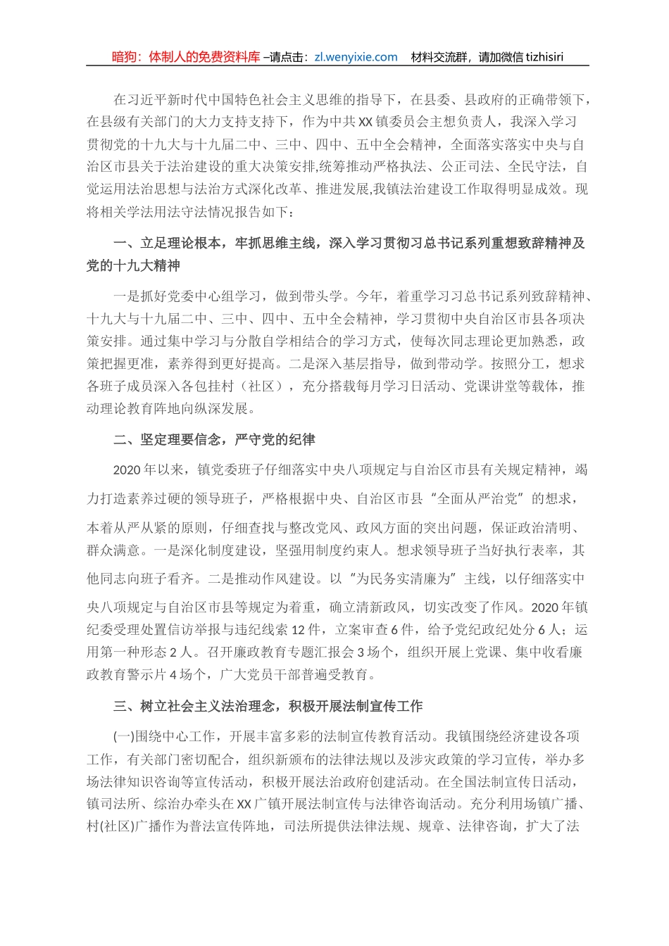 乡镇党委书记XX年度述法报告_第1页