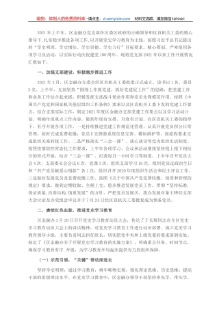 区金融办支委会上半年工作情况及检视材料