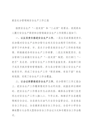 副县长分管领域安全生产工作汇报