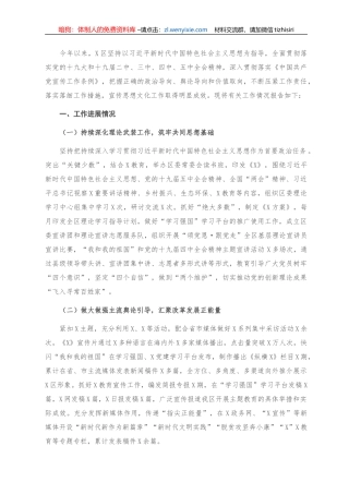 2020年X区宣传工作总结