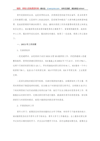 2021年XX镇团委工作报告