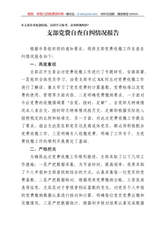 支部党费自查自纠情况报告