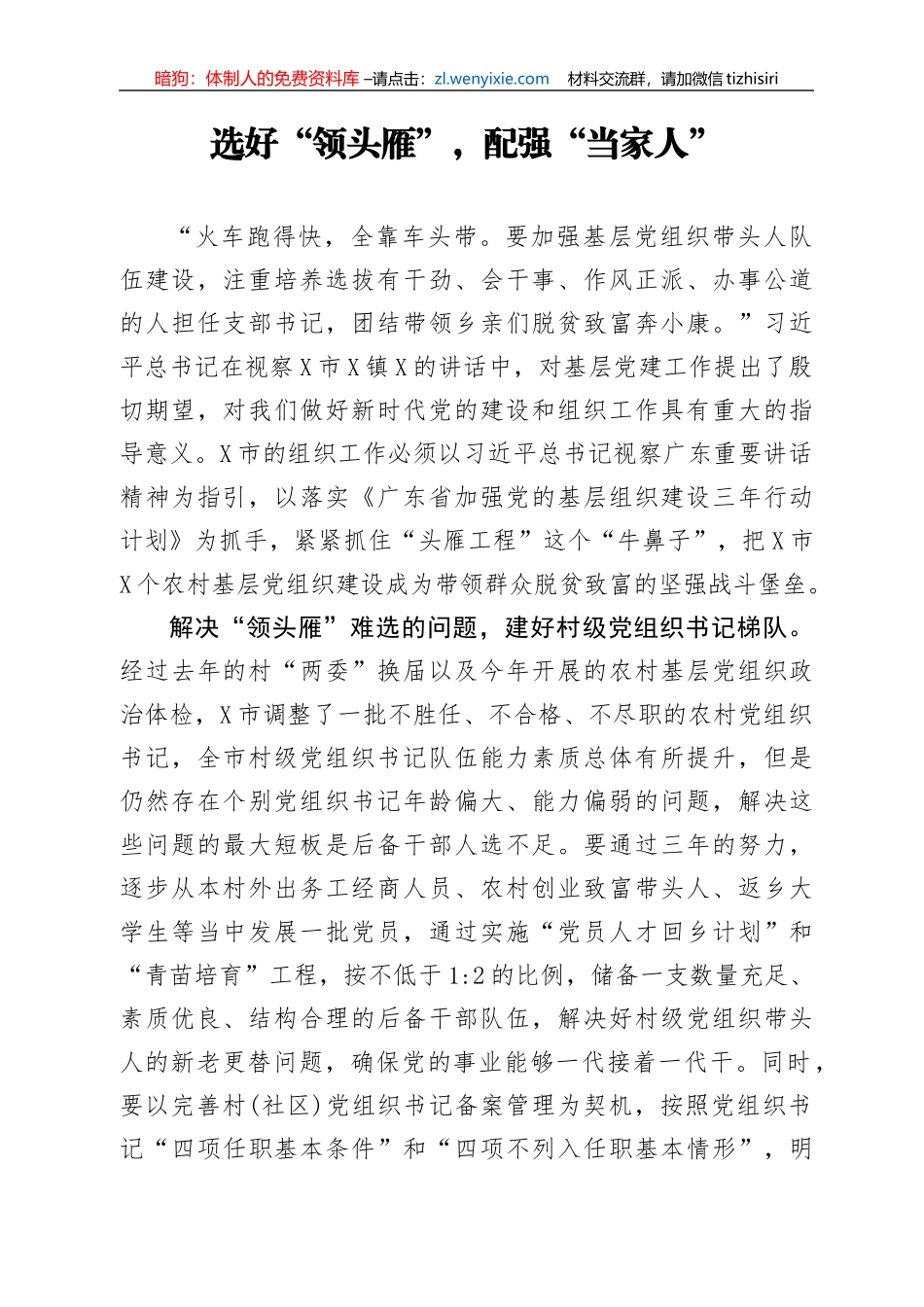 选好领头雁配强当家人_第1页