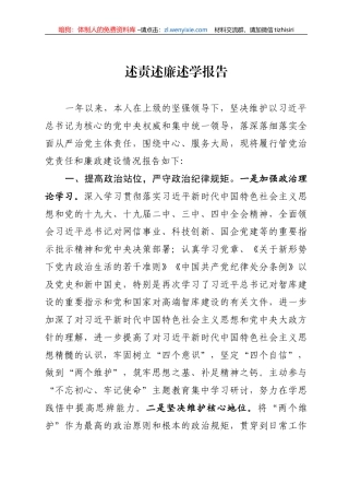 述责述廉述学报告