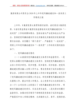 集团公司2020年上半年党风廉政建设和一岗双责工作情况汇报
