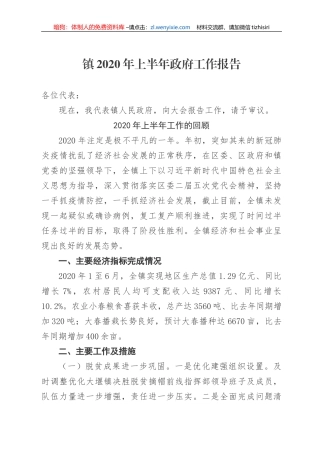 镇2020年上半年政府工作报告