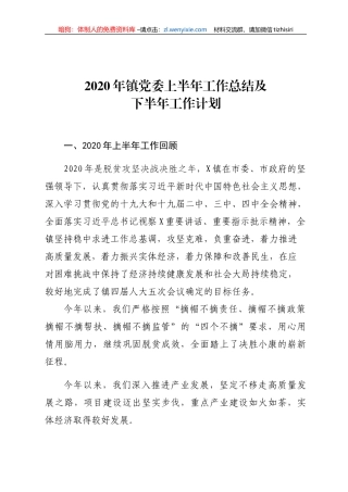 镇党委上半年工作总结及下半年工作计划