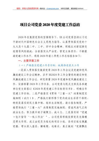 项目公司党委2020年度党建工作总结