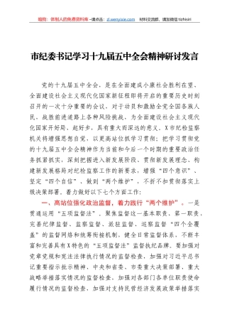 纪委书记学习十九届五中全会精神研讨发言