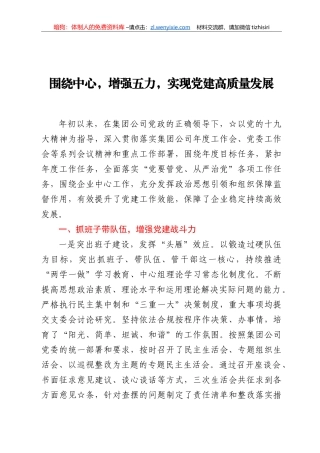 集团公司党建工作情况报告