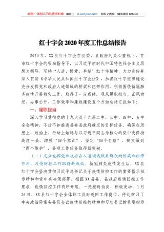 红十字会2020年度工作总结报告