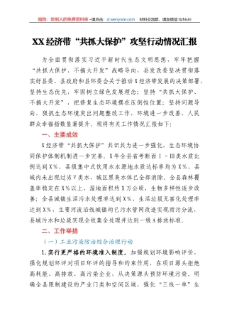 XX经济带“共抓大保护”攻坚行动情况汇报