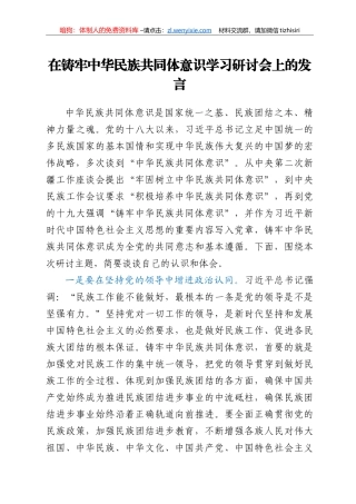 铸牢中华民族共同体意识研讨发言