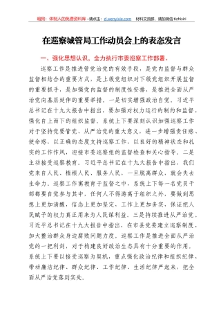 在巡察城管局工作动员会上的表态发言