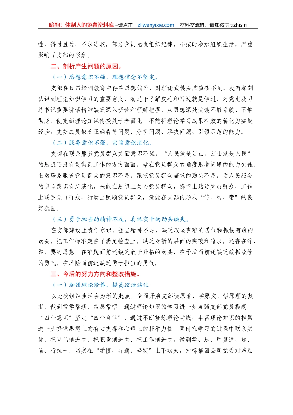 2021年组织生活会对照检视（国企支委班子）_第3页