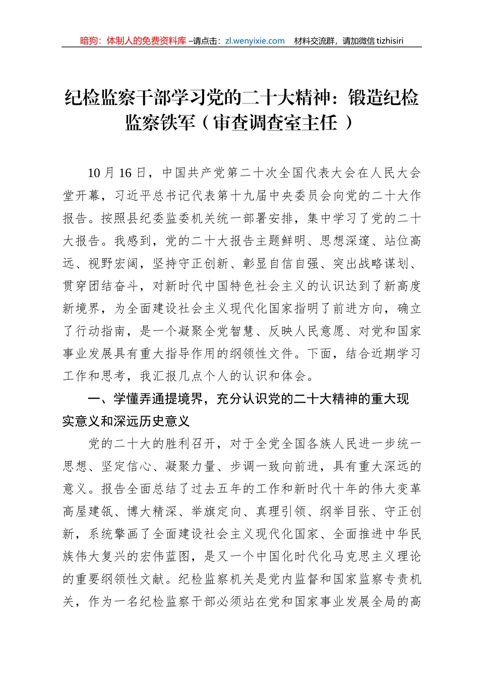纪检监察干部学习党的二十大精神：锻造纪检监察铁军（审查调查室主任+）_第1页