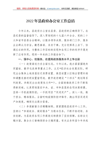 2022年县政府办公室工作总结