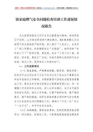 镇家庭燃气安全问题检查培训工作进展情况报告