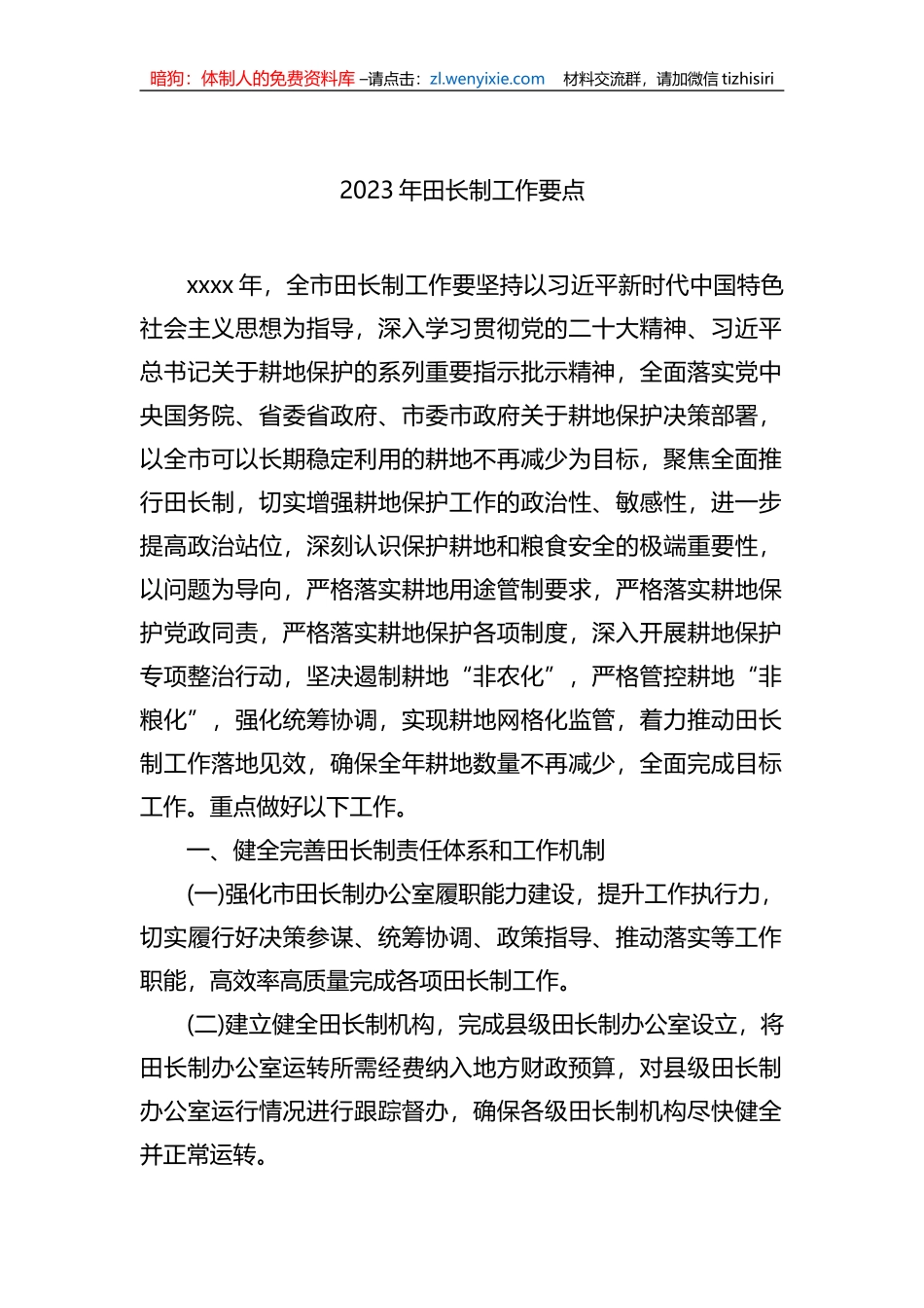 2023年田长制工作要点_第1页