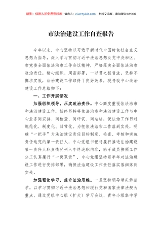 市法治建设工作自查报告