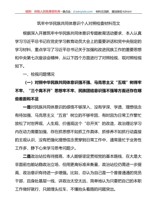 筑牢民族共同体意识个人对照检查材料检视剖析发言提纲