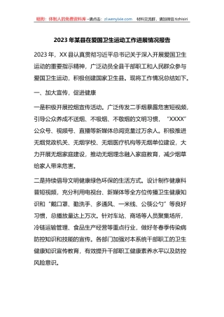 2023年某县在爱国卫生运动工作进展情况报告（总结）
