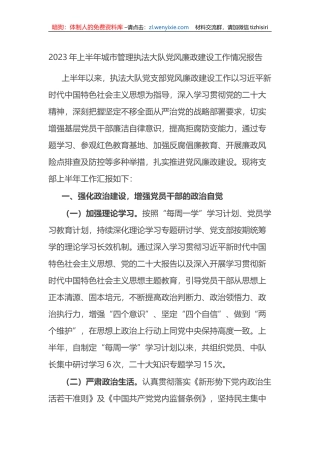 2023年上半年城市管理执法大队党风廉政建设工作情况报告（总结） (1)