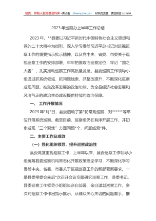 2023年巡察办上半年工作总结