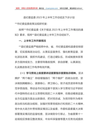 县纪委监委2023年上半年工作总结及下步计划