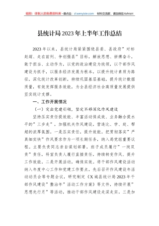 县统计局2023年上半年工作总结
