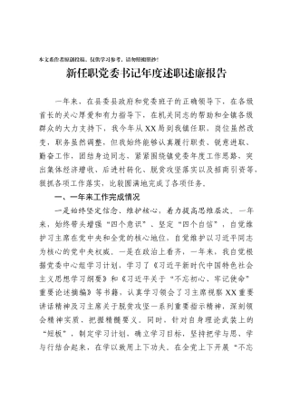 08新任职党委书记述职述廉报告