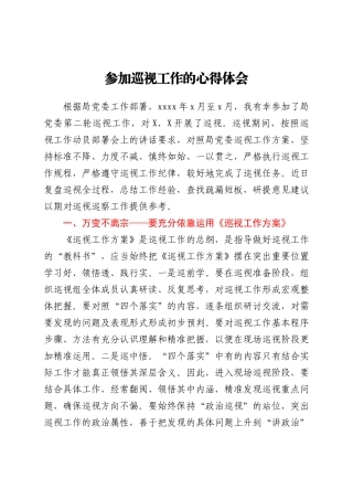 参加巡察巡视工作的经验总结（心得体会）