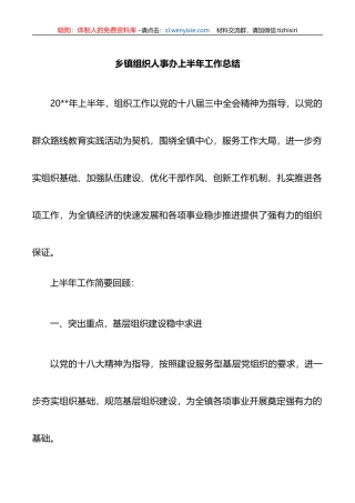 （11.2）乡镇组织人事办上半年工作总结