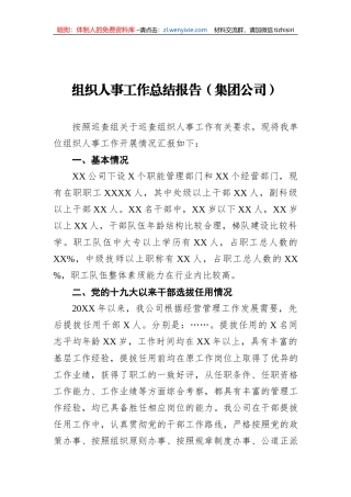 组织人事工作总结报告（集团公司） (1)